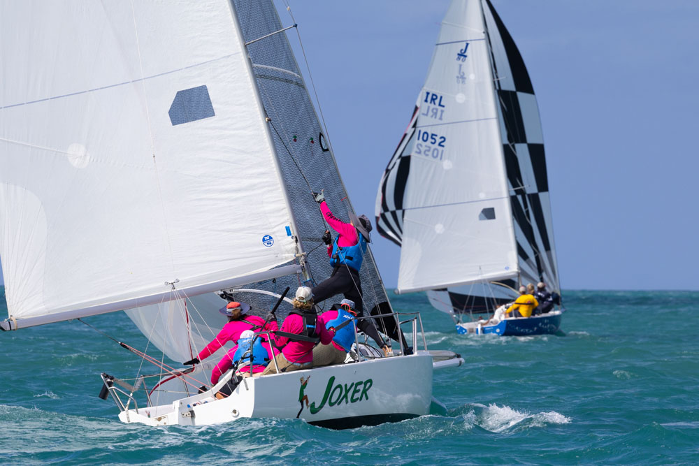 Read more about the article Something New for Lay Day